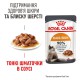 Royal Canin Hair & Skin Care wet in jelly 12х85 г в желе для котів