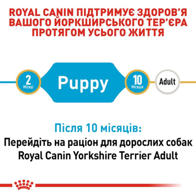 Royal Canin Yorkshire Terrier Puppy 500 г сухий корм для цуценят