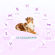 Optimeal Dog Beauty Harmony 10 кг сухий корм для собак заспокійливий ефект із морепродуктів