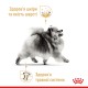 Royal Canin Pomeranian Adult 500 г сухий корм для собак