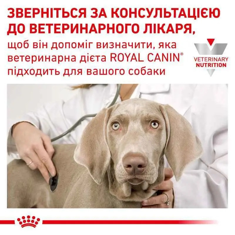 Royal Canin Gastrointestinal Canine 2 кг сухий корм для собак