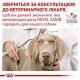 Royal Canin Gastrointestinal Canine 2 кг сухий корм для собак