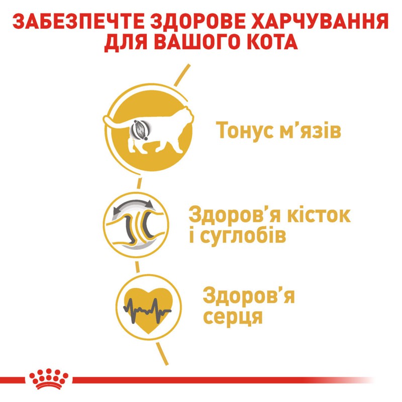 Royal Canin British Shorthair 400 г сухий корм для котів