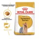 Royal Canin Yorkshire Terrier Adult 500 г сухий корм для собак