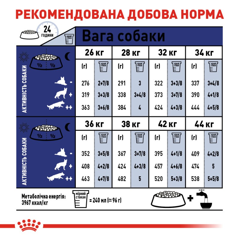 Royal Canin Maxi Adult 4 кг  для собак крупных размеров