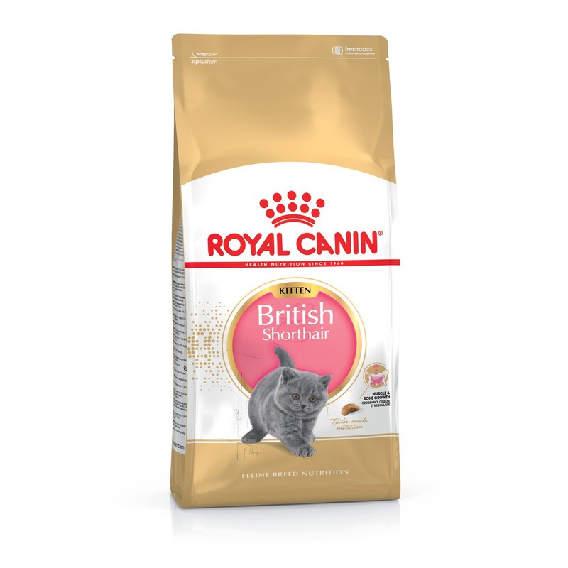 Royal Canin British Shorthair Kitten для кошенят 400 г